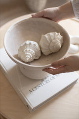 Set 3 conchiglie decorative