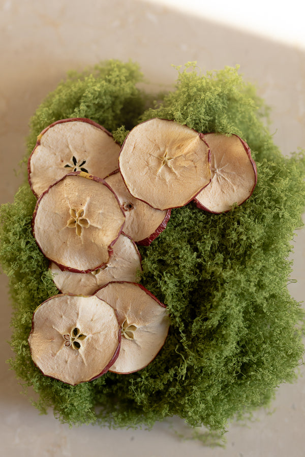 Muschio artificiale con mele essiccate