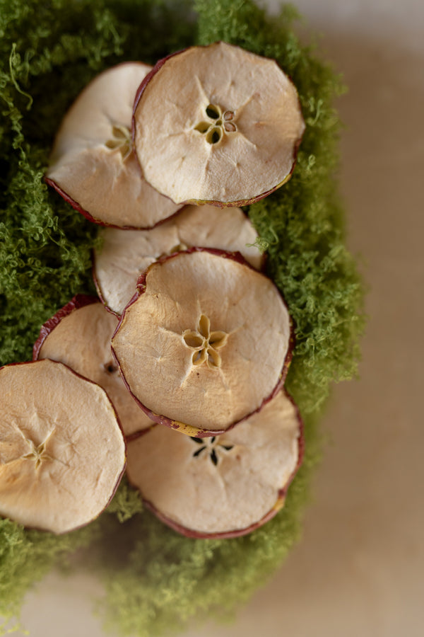 Muschio artificiale con mele essiccate