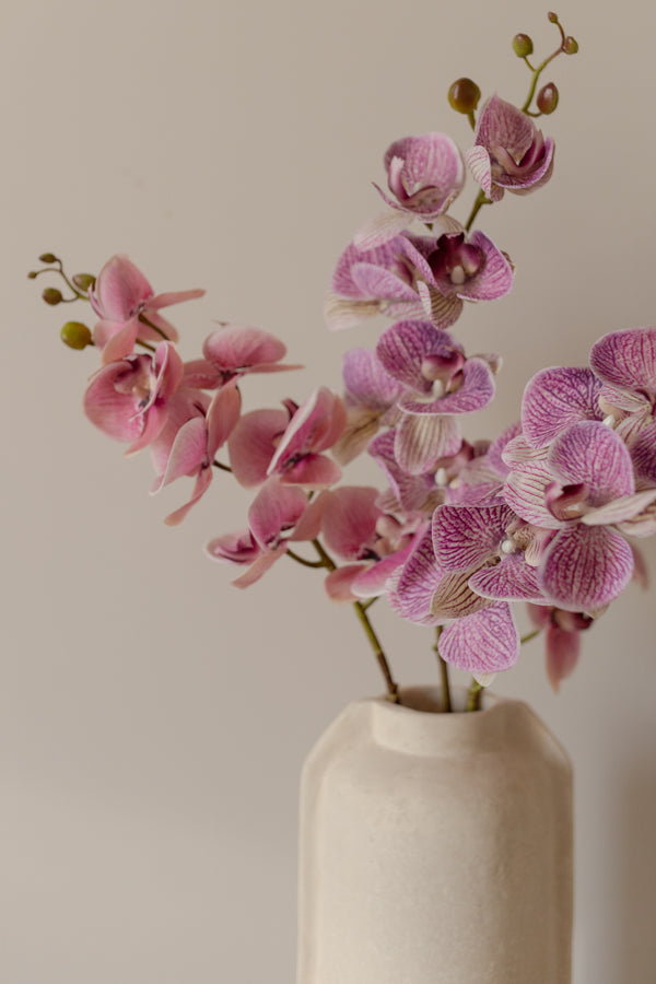 Set 2 orchidee