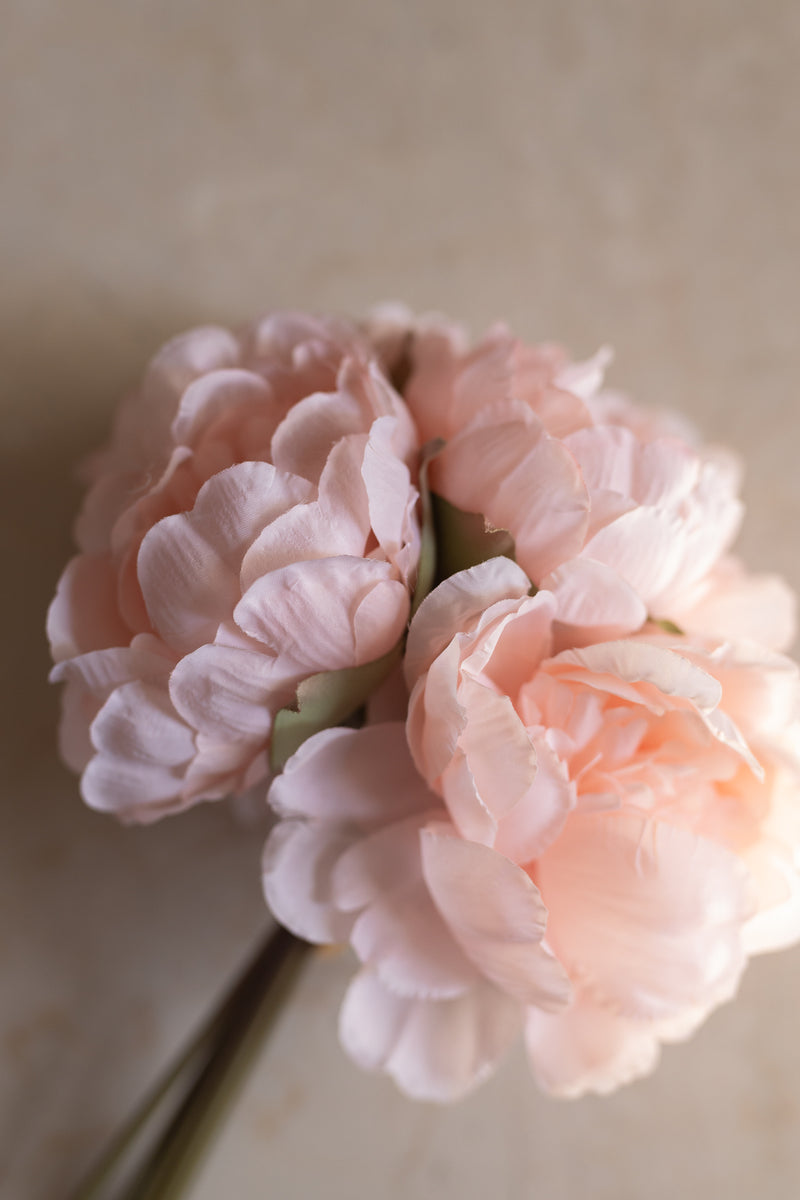 Bouquet peonie rosa pesco