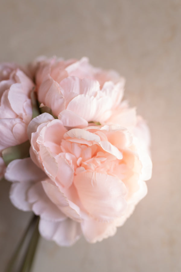 Bouquet peonie rosa pesco