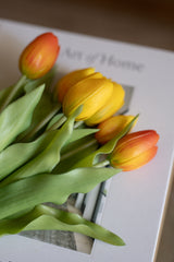 Fascio 7 tulipani arancio