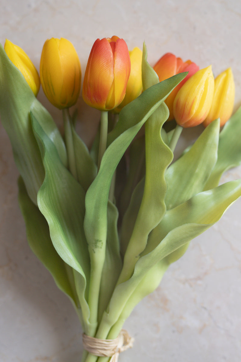 Fascio 7 tulipani arancio