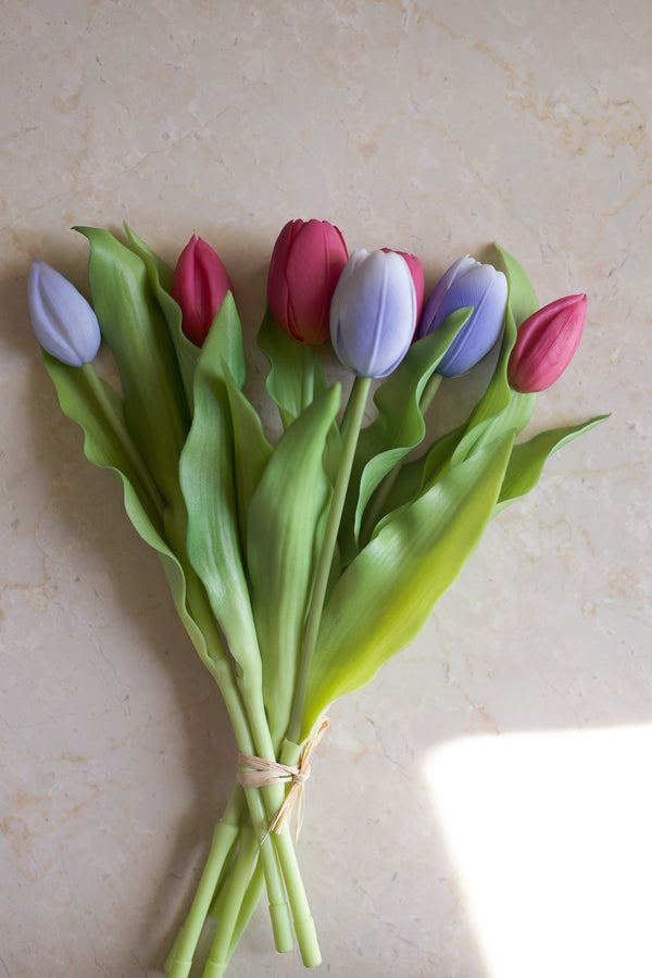 Fascio 7 tulipani mix indaco e rosa