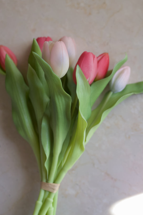 Fascio 7 tulipani mix rosa chiaro e scuro