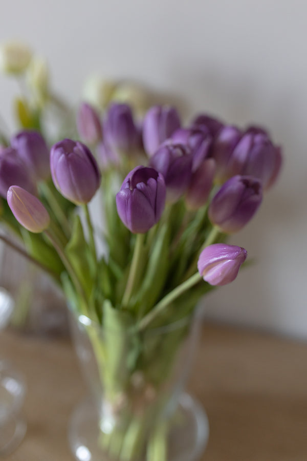 Fascio 5 tulipani glicine