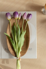 Fascio 5 tulipani glicine