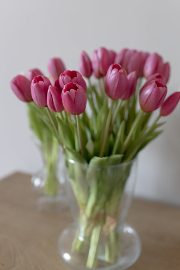 Fascio 5 tulipani rosa scuro