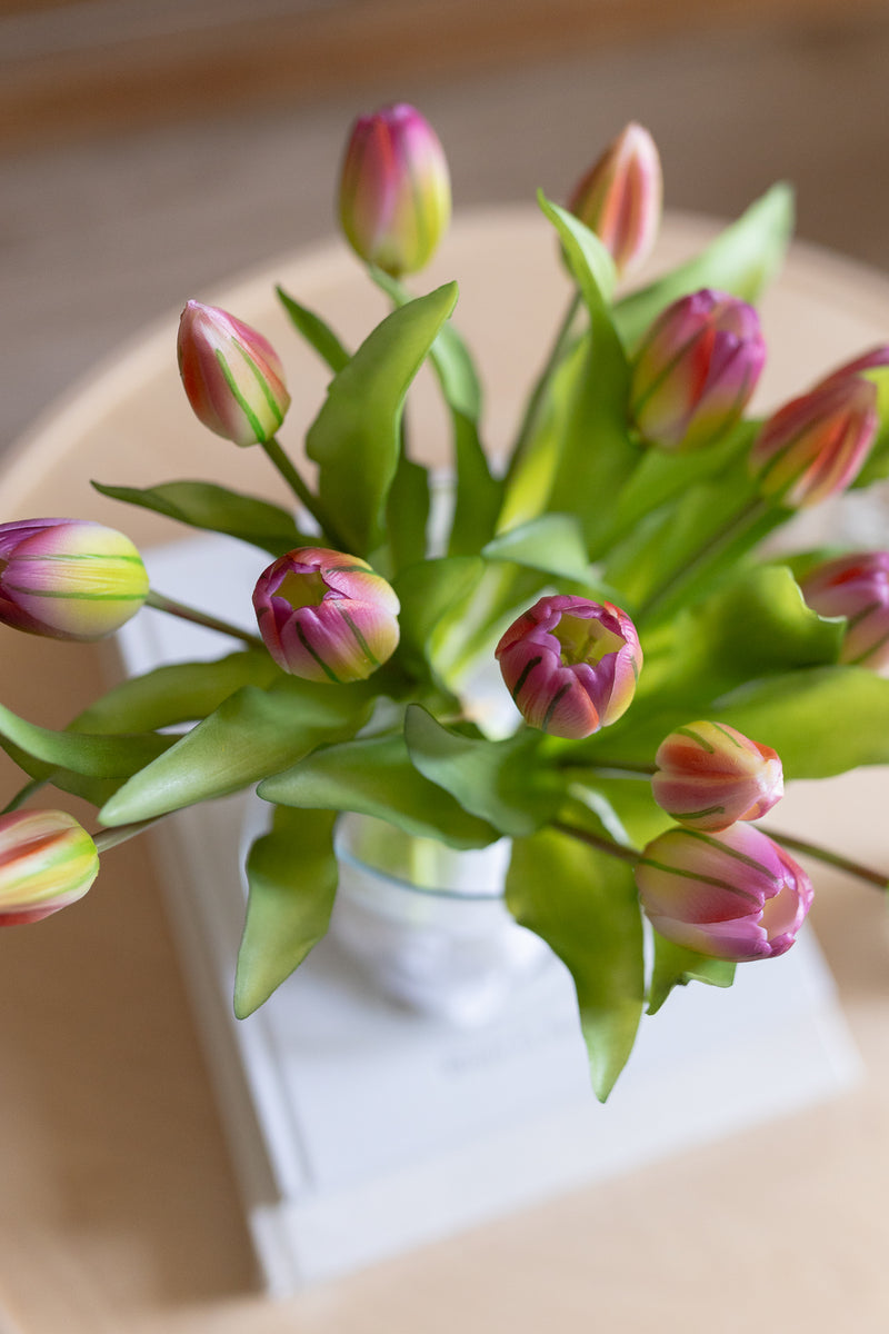 Fascio 7 tulipani screziati viola